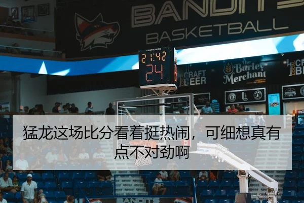 猛龙这场比分看着挺热闹，可细想真有点不对劲啊